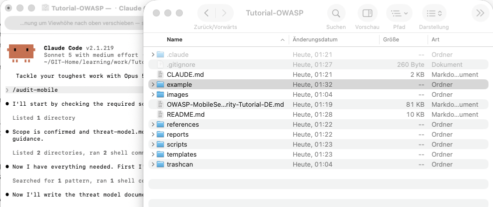 Start von /audit-mobile